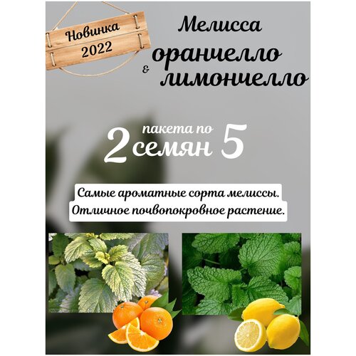 ���� ������� ���������� � ��������� ������� ������ 2 ������ �� 5�� �����