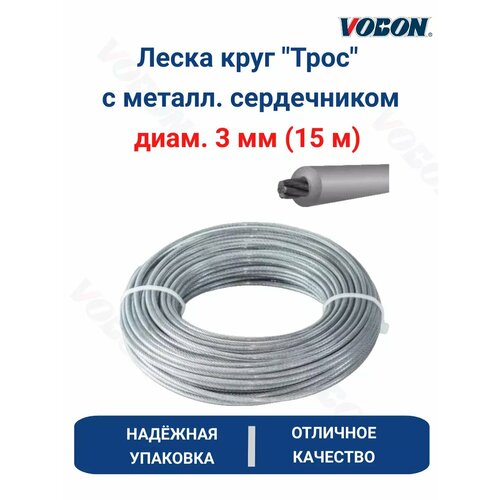 ���� ����� ���� 