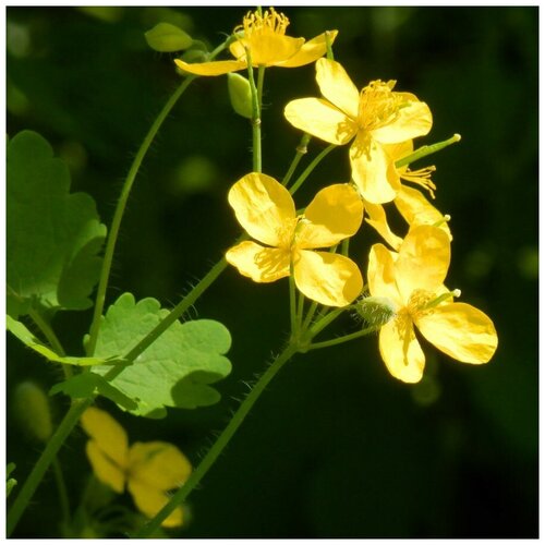 ���� ������ ������ �������� ������� 30 ��.