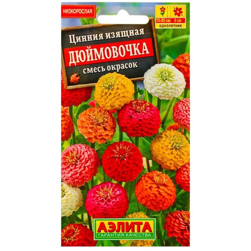 ���� ������ ������ ������ 