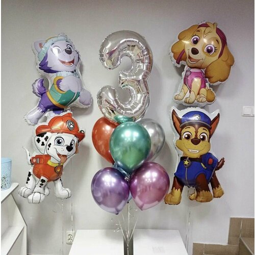 ���� ���� �������� 11��, ������ ������� �������