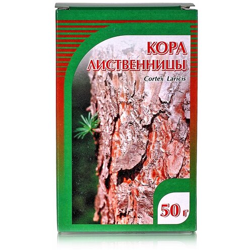 ���� ����� ���� �����������