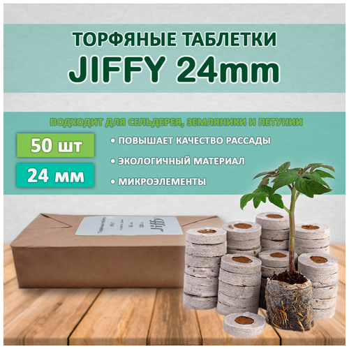     JIFFY d=24  ( 50 )  -     , -,   