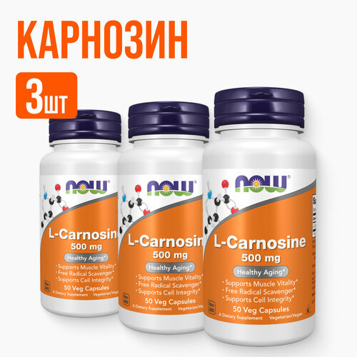 ���� NOW L-�������� 50 ������, 3 ��������