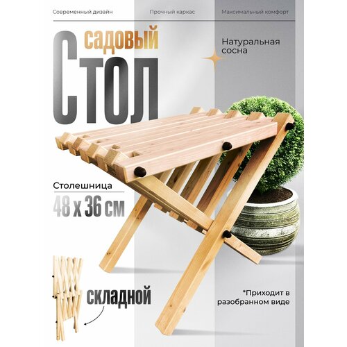 ���� ������ �������� �������� ���������� ���� ������� �� ������