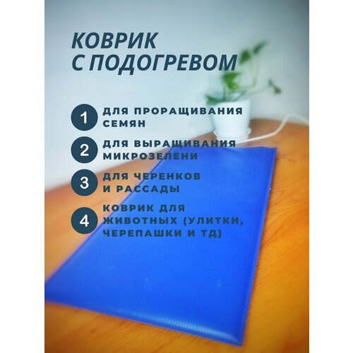 ���� ������ ��� ������� ���������, 50x25 �� ��� ��������� �������, ��� ������������ �����