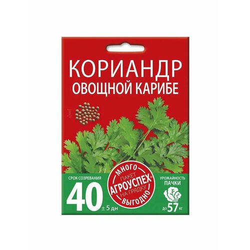 ���� �������� (�����) ������, ������ ��������� �����-������� 15 �