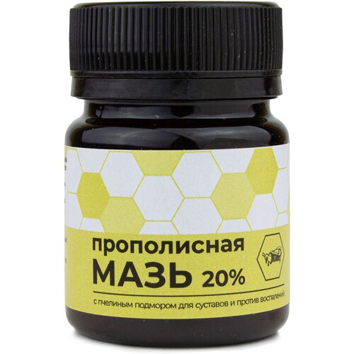 ���� ���� ��� ���� ������������� ����������� � �������� ��������, ��� ������ ����, ���������, �������� ��������������, ���������, 40 ��.