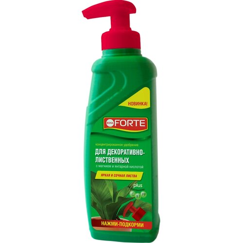    Bona Forte      285ml () BF21010221