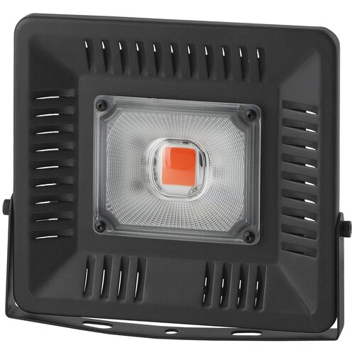       FITO-50W-LED,   -     , -,   