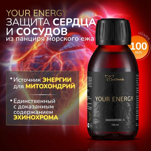     100 . (YOUR ENERGY).       ,   .  -     , -  