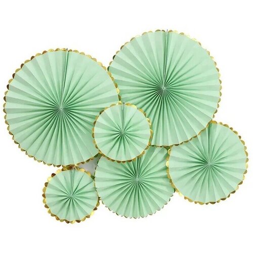 ���� ����� �������� ������, ������/�������, 6 ��, ��� ��������� ���������