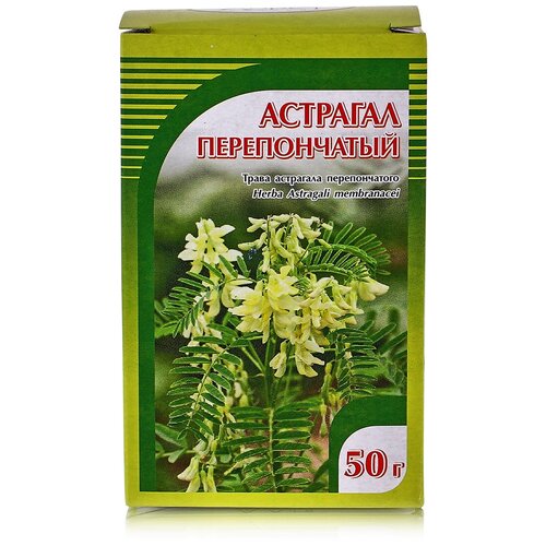 ���� ����� ����� �������� ������������, 50 �