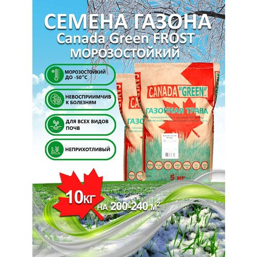 ���� �������� ����� ������ ������ ���� ������������� FROST 10 ��/ �������, �������, �������� ������ ��� ������