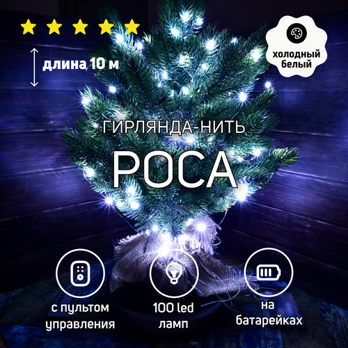   10        100 LED     3       Rus Buy