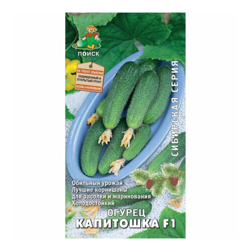 ���� ������ ������ ��������� F1 12�� ������������������ ������ (�����)