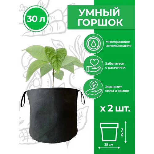     ( )     Magic Plant 30  2   -     , -,   