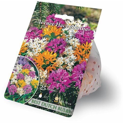 ���� ��� ������������ (������) ����� ������ ���������� 25 ������� 4/5