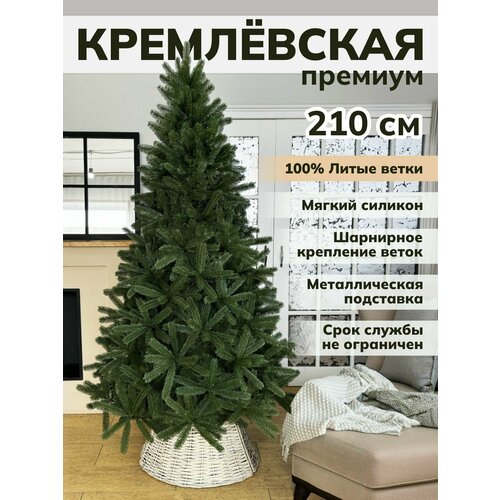 ���� ���� ������������� ���������� ����� ��������� ��� ���������