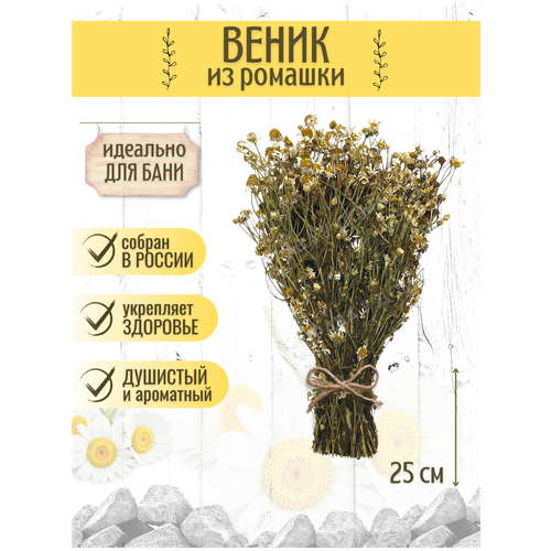 ���� ������ ��� ���� �� ������� 1 ��