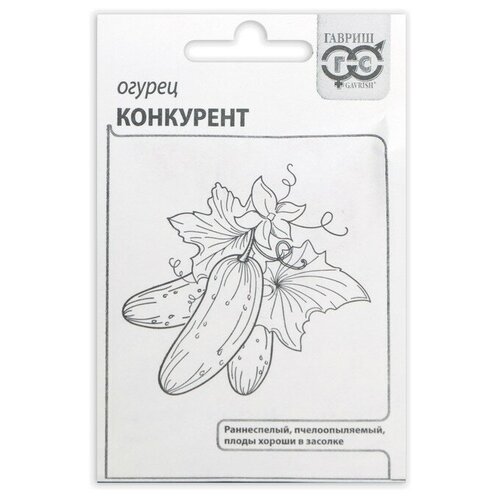 ���� ������ ������ 