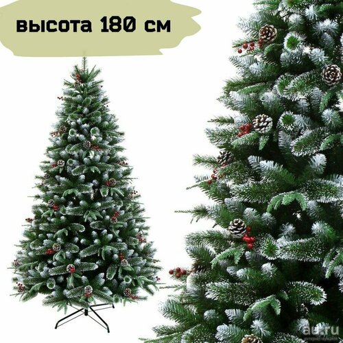 ���� ������������� ���������� ���� � ������� � �������, �����+���, ������ 180 ��