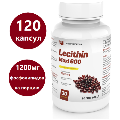 ���� ������ ������� XL Lecithin Maxi, 120 ������, ����������� �������������