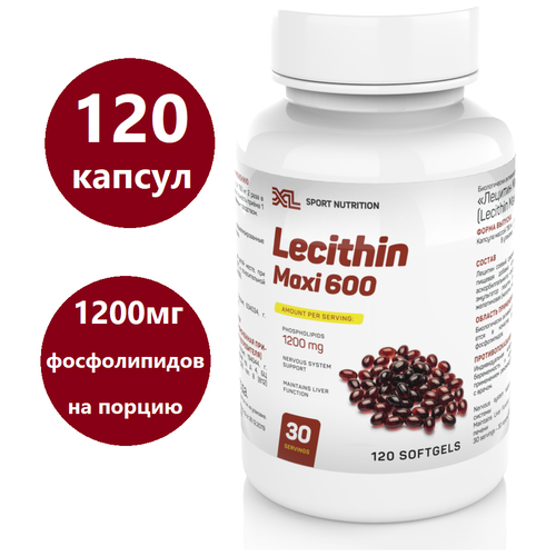     XL Lecithin Maxi, 120 ,    -     , -  