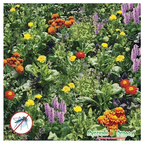 ���� �������� ������ ���������� ��� ����