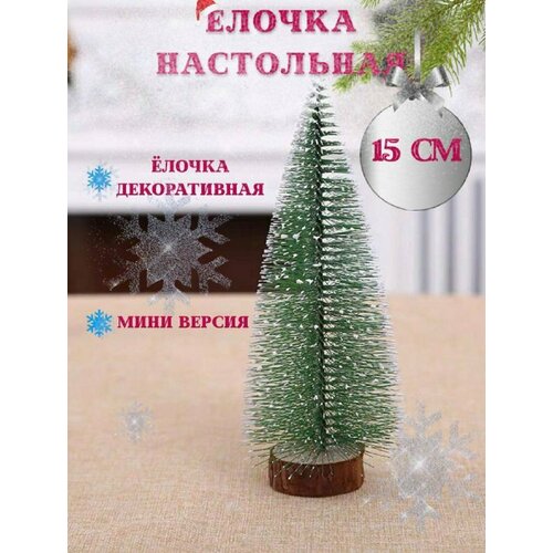 ���� ���� ���������� ���������� ������������� 15 ��