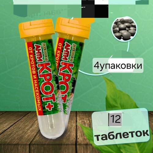 ���� �������� 