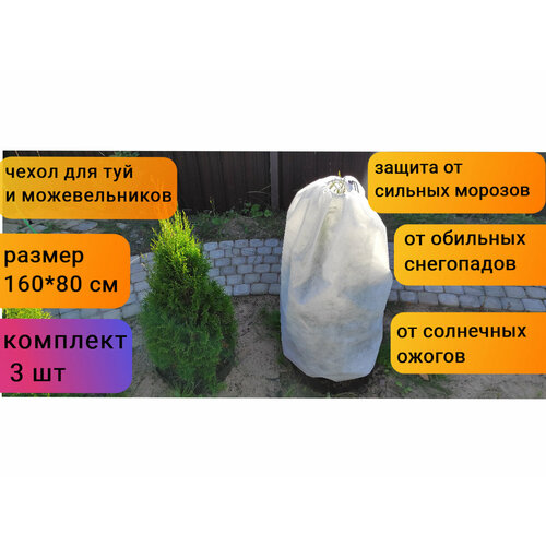 ���� ������ ����� ��� ������ � �������� � ��������/��� ���/��� ���/��� ��������������/��� ��������� ������ 160*80 ��, 3 �� � ���������