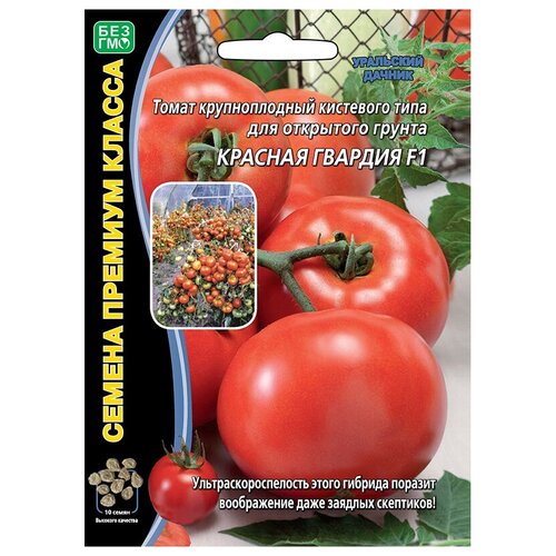 ���� ������ ��������� ������ ������� ����� ������� ������� F1 10 ��.