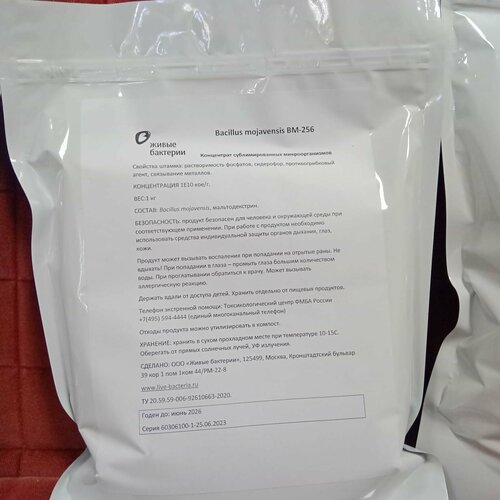   Bacillus mojavensis BM-256     -     , -,   