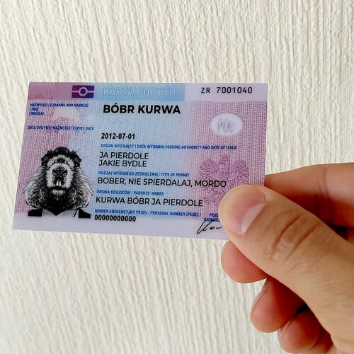     bobr kurwa (Bobr kurvva) 8656    -     , -  