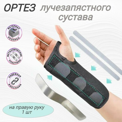 ���� ������ �� ������������� ������ � ������������� �����, ������ L