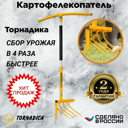 ���� ����������������� ������ ����������� ��������� / ���������������� ������