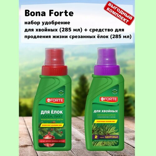       (285 ) +       (285 ) Bona Forte  -     , -  