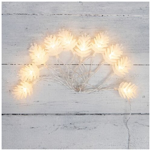 ���� �������� NEON-NIGHT 303-098, 1 ��. � ������, 1.5 �, 10 ����, ������ �����/���������� ������