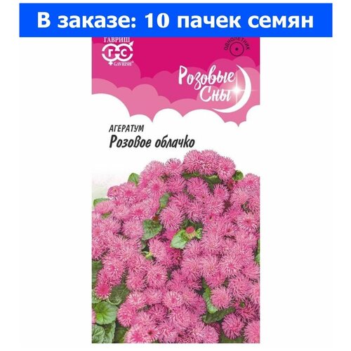 ���� ������. �������� 