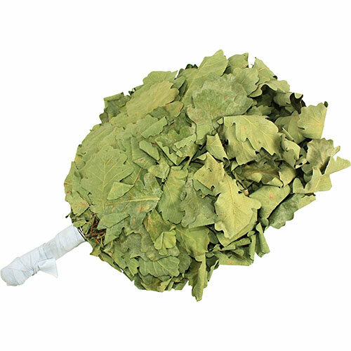 ���� ����� �������