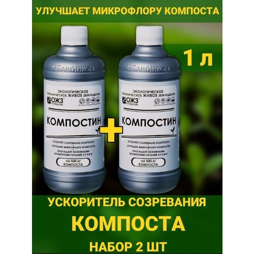 ���� ���������, 1� ���������� ���������� ��������