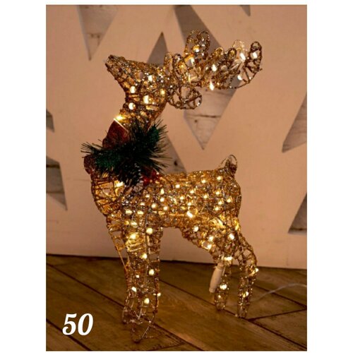 ���� ���������� ���������� ������������ ����� 50��