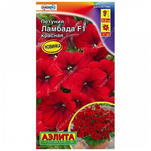 ���� ������. ������� �������������� 