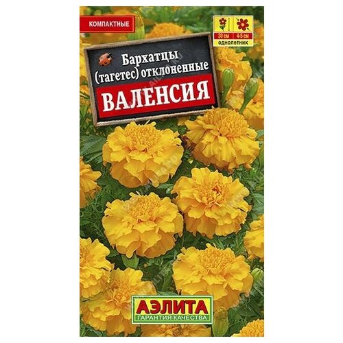 ���� ������. �������� ����������� 