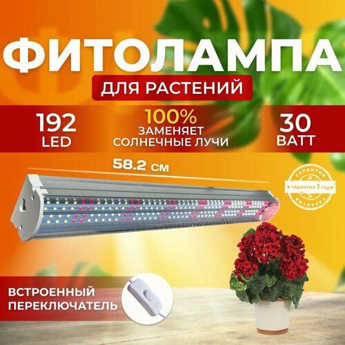                30  192 LED  -     , -,   