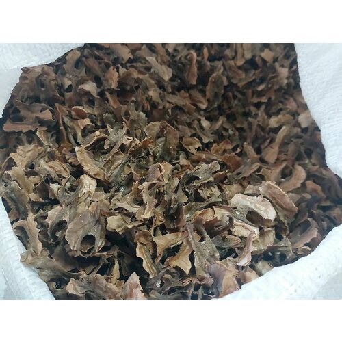 ���� ����������� �������� �����, 500��