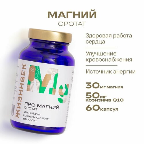 ���� ��� ������ ������