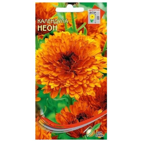 ���� ��������� ����, 30 �����