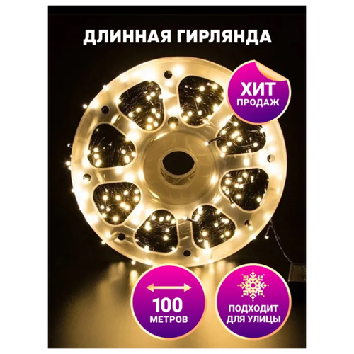    -  100 \     \   220\ NewLamp  -     , -  